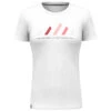 Salewa - Women's Pure Stripes Dry T-Shirt - T-shirt